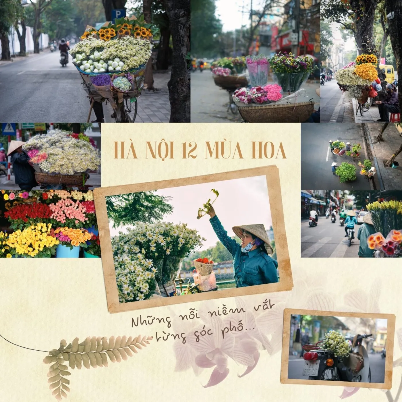Mùa hoa Hà Nội số hóa